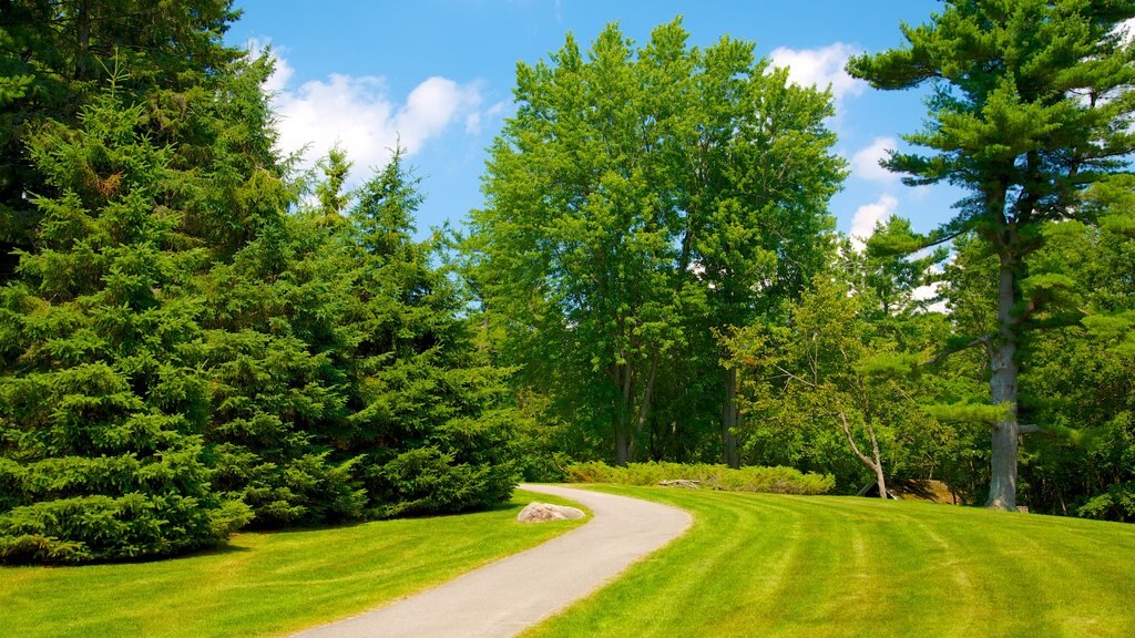 Gatineau Park showing a garden