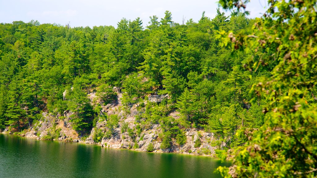 Gatineau Park which includes forests, a park and a lake or waterhole