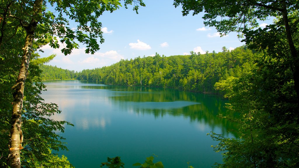 Gatineau Park which includes a park, a lake or waterhole and landscape views