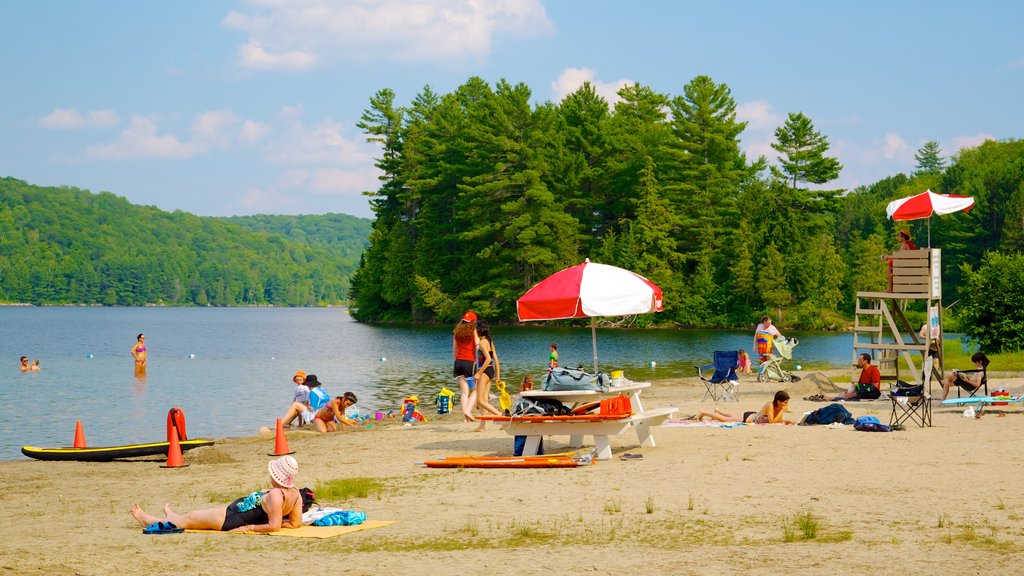 Gatineau Park caracterizando natação, uma praia e um lago ou charco