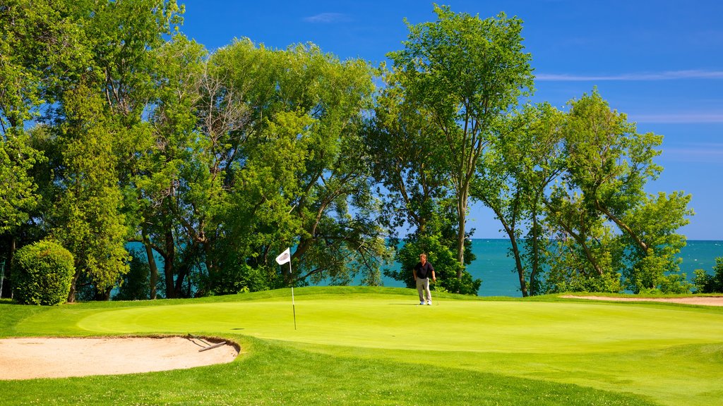 Niagara-on-the-Lake som viser udsigt over kystområde, udsigt over landskaber og golf