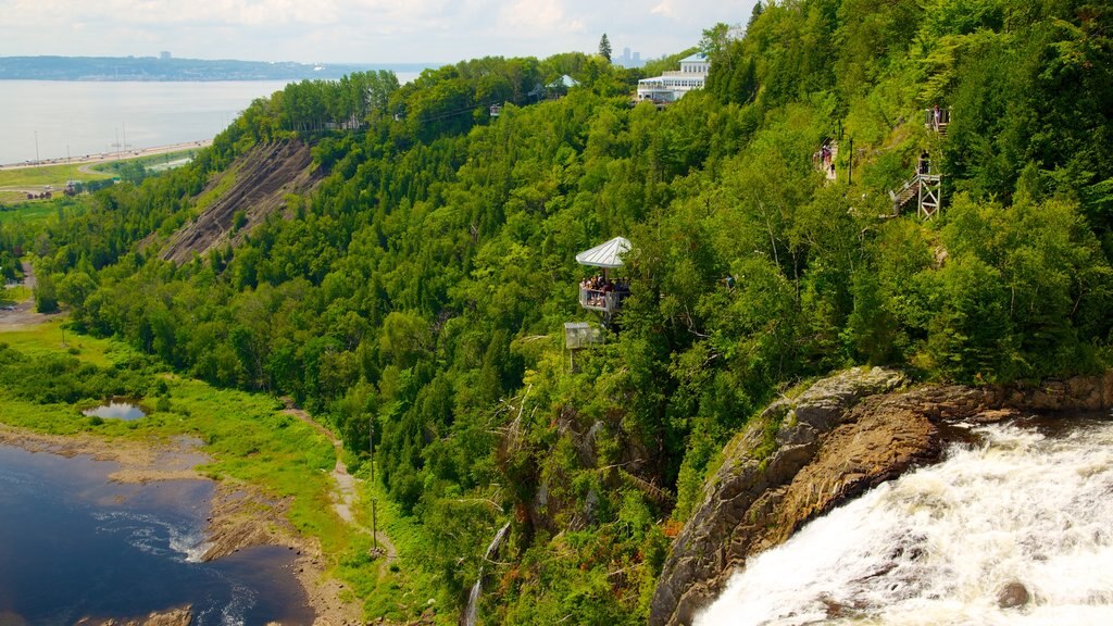 Montmorency Falls showing a river or creek, forest scenes and views