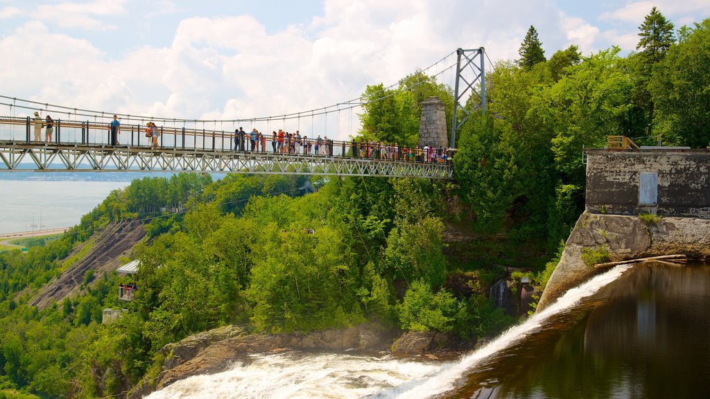 Montmorency Falls which includes a cascade, hiking or walking and a suspension bridge or treetop walkway