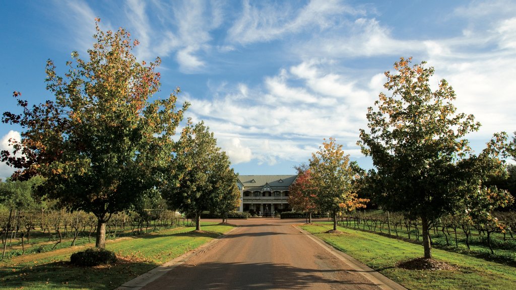 Hunter Valley montrant paysages paisibles et terre agricole