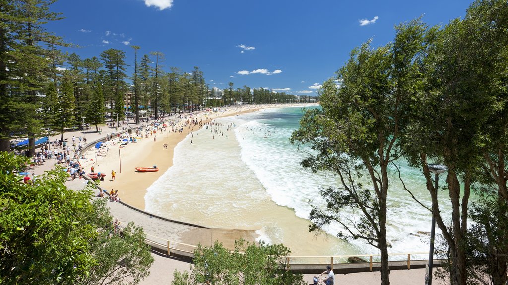 Manly Beach showing a coastal town and a sandy beach