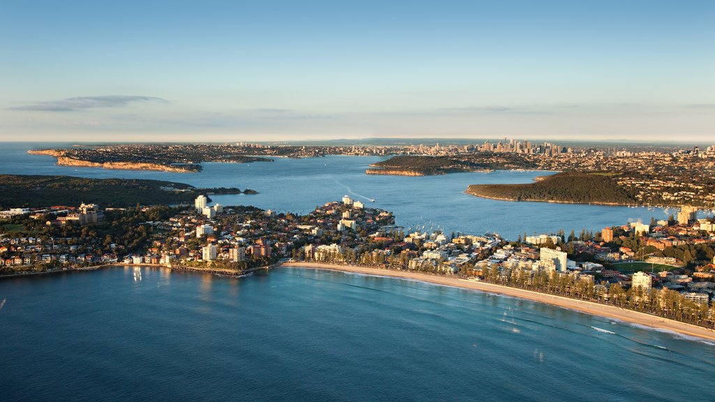 Manly ofreciendo una ciudad costera, vista general a la costa y vista panorámica