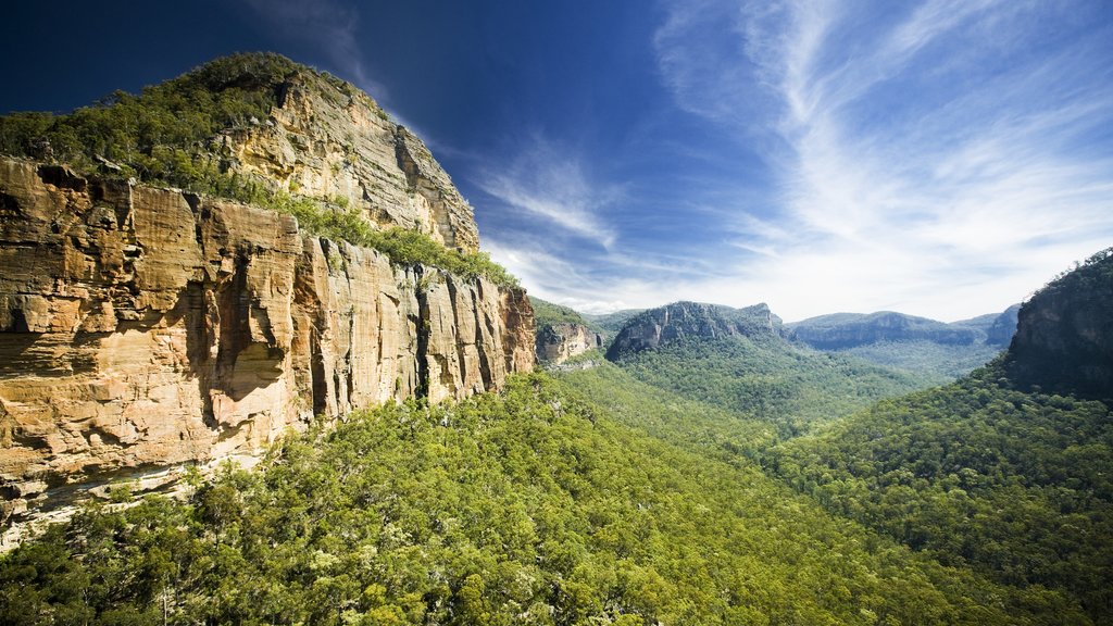 Blue Mountains which includes landscape views, tranquil scenes and mountains