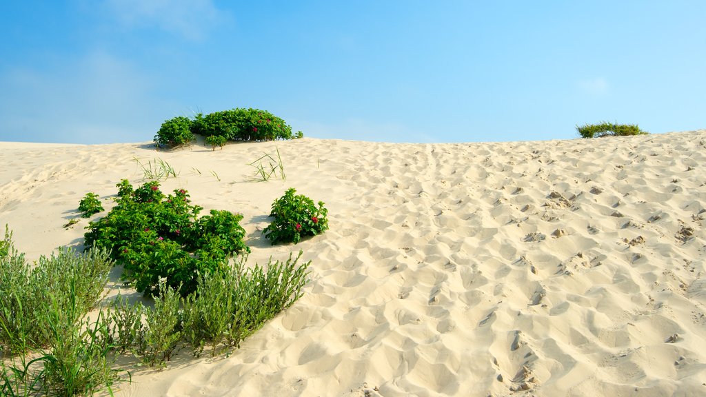 Raabjerg Mile caracterizando uma praia de areia