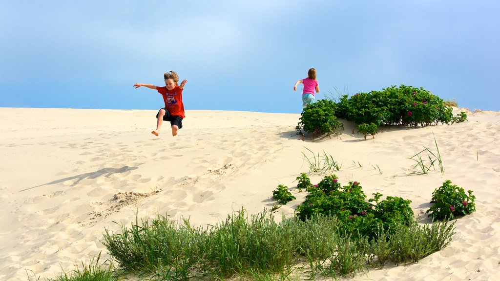 Raabjerg Mile showing a sandy beach as well as children