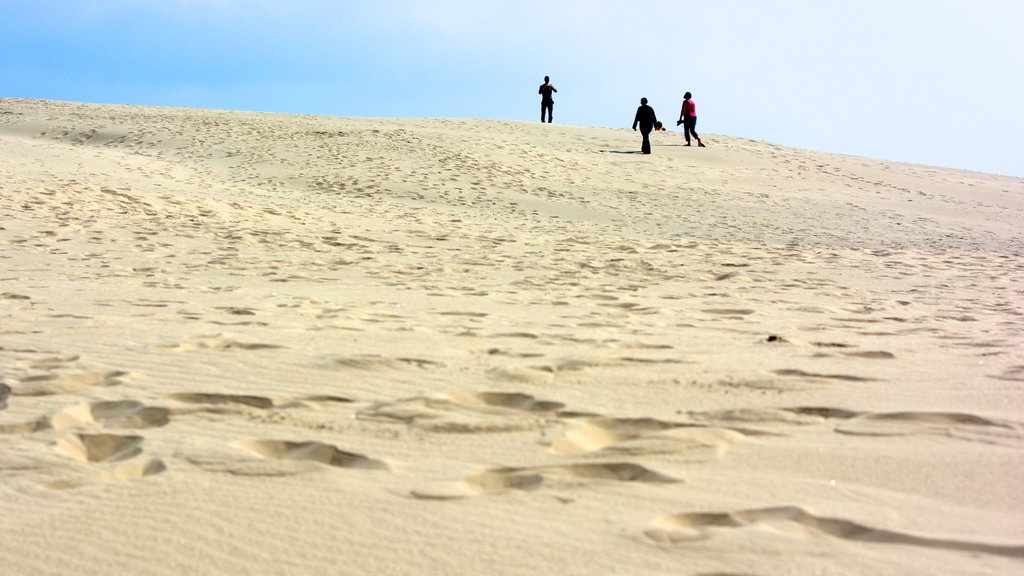 Duna Raabjerg Mile ofreciendo una playa de arena, vistas generales de la costa y senderismo o caminata