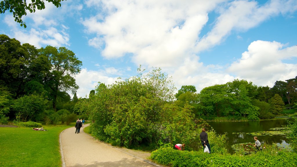 Botaniska trädgården som inkluderar en å eller flod och en trädgård