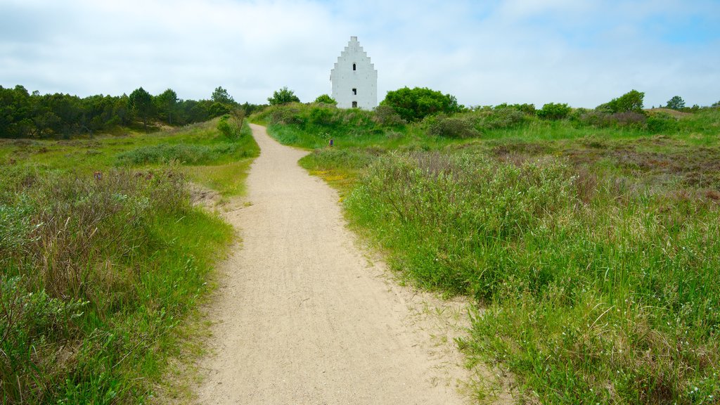 Den Tilsandede Kirke which includes a church or cathedral and tranquil scenes