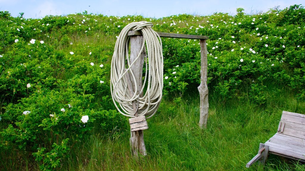 Skagen som viser blomster