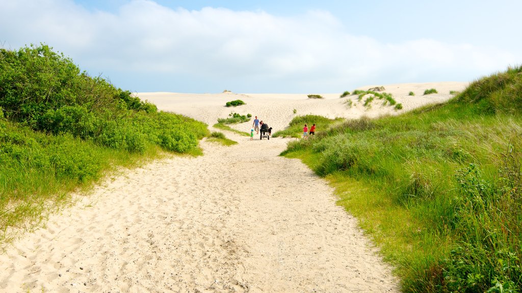 Duna Raabjerg Mile que incluye una playa y vista general a la costa