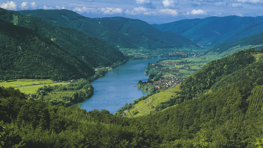 Weissenkirchen in der Wachau som viser udsigt over landskaber, bjerge og en lille by eller en landsby