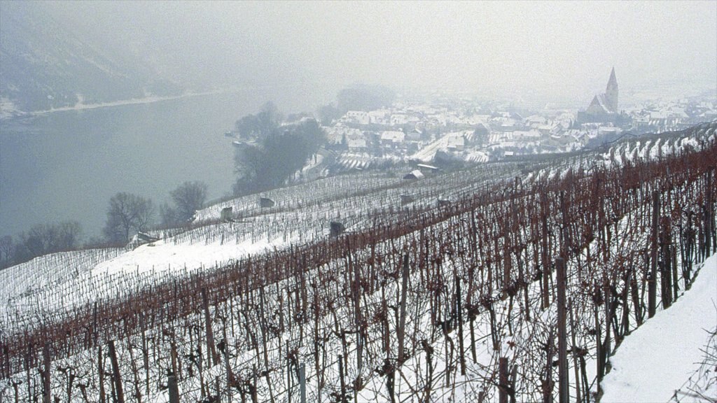 Weissenkirchen in der Wachau showing mist or fog, a small town or village and farmland