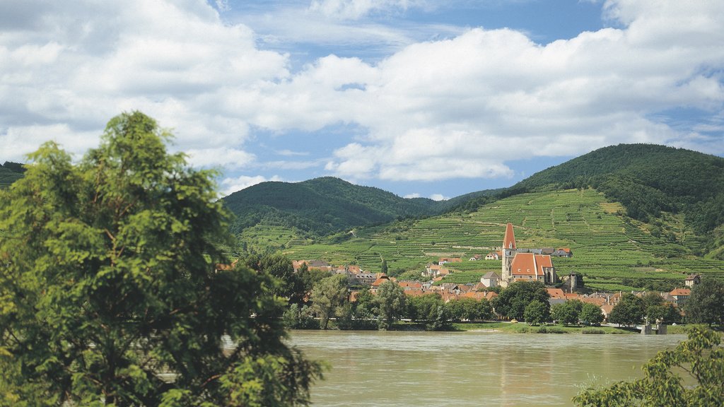 Weissenkirchen in der Wachau mostrando un río o arroyo, escenas tranquilas y una pequeña ciudad o aldea