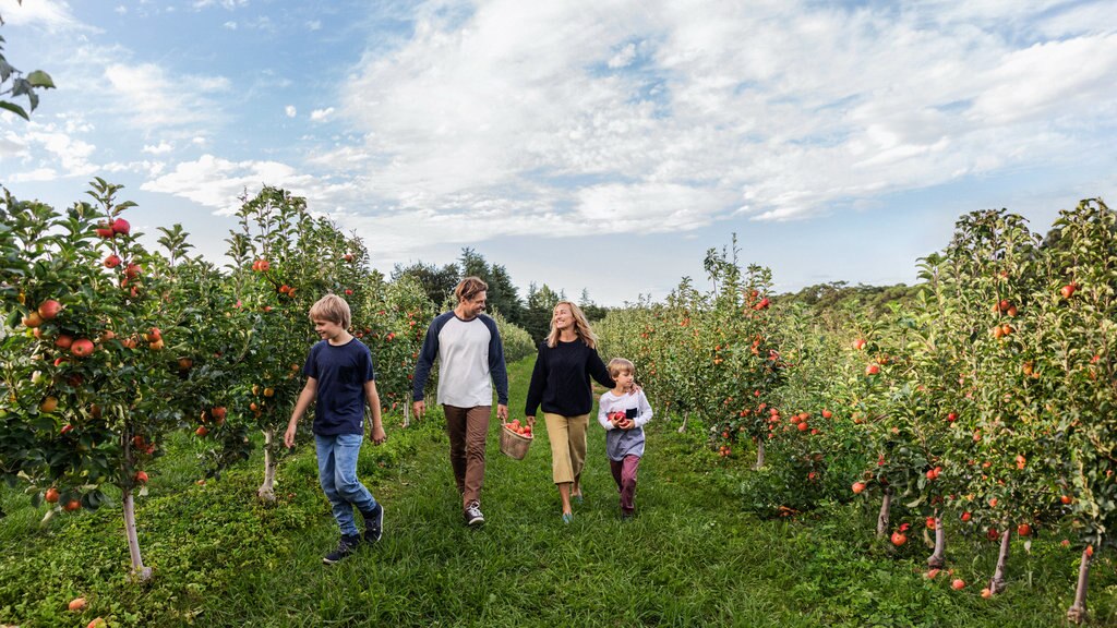 Nueva Gales del Sur que incluye tierras de cultivo y también una familia