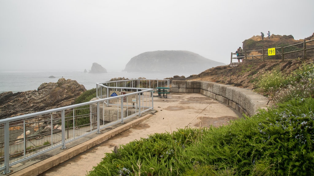 Parque estatal Harris Beach ofreciendo vistas, neblina o niebla y vistas generales de la costa