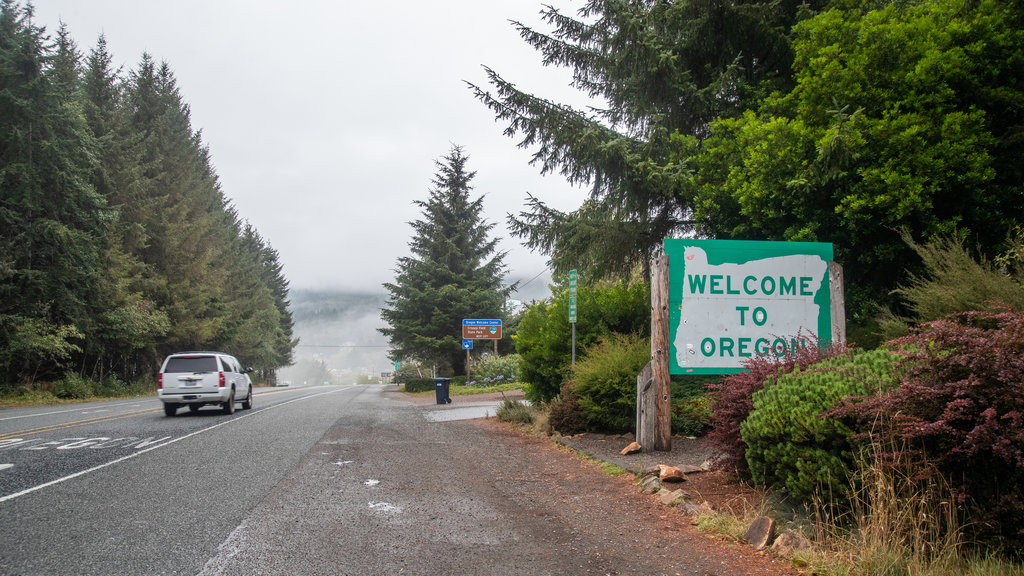 Brookings showing off-road driving and signage