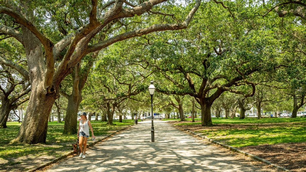 Jardines White Point que incluye un parque y también una mujer