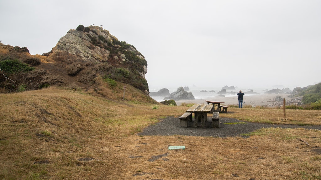 Parque estatal Harris Beach que incluye vistas generales de la costa y neblina o niebla y también un hombre