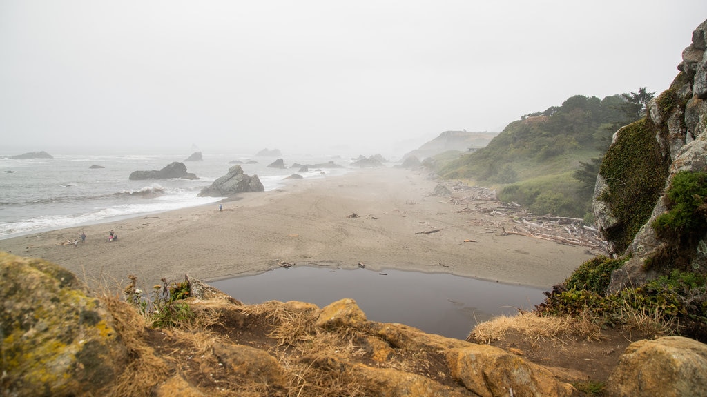 Harris Beach State Park showing mist or fog, rocky coastline and general coastal views