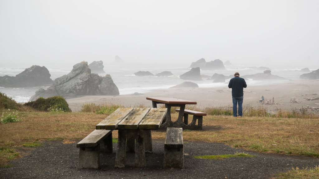 Harris Beach State Park som viser udsigt over kystområde, klippekystlinje og tåge eller dis