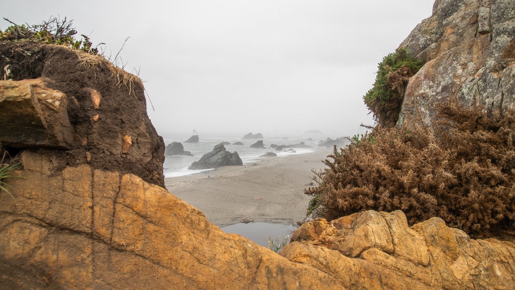 Parque estatal Harris Beach ofreciendo costa rocosa, vistas generales de la costa y neblina o niebla