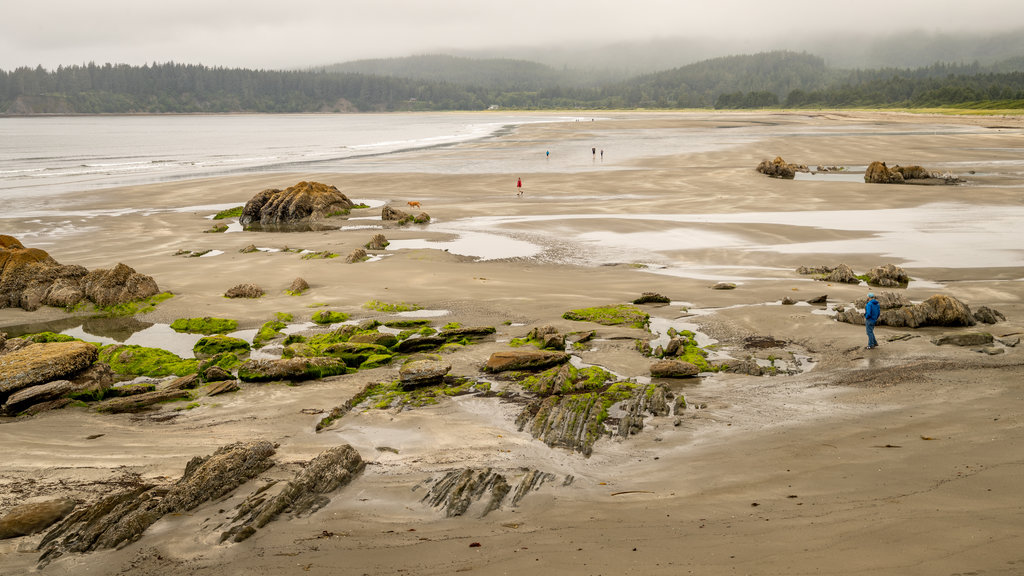 Neah Bay which includes a sandy beach and general coastal views