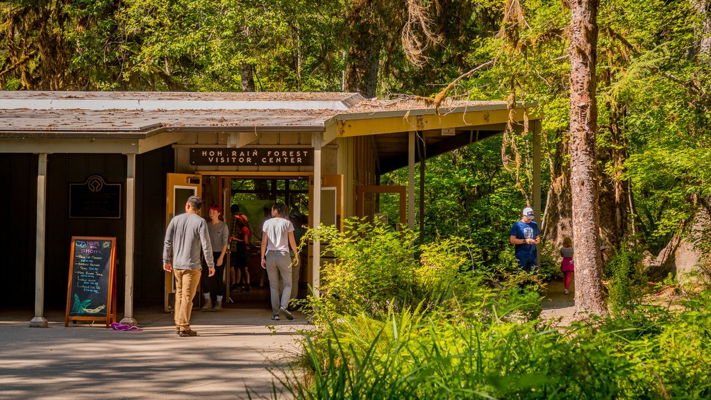 Hoh Rain Forest Visitor Center que inclui florestas assim como um casal