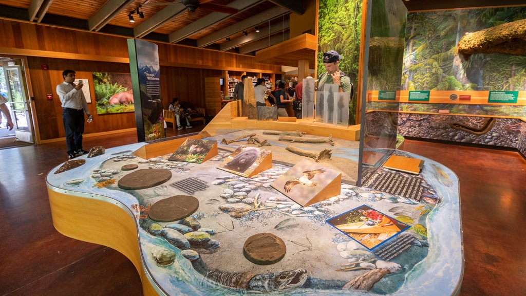 Hoh Rain Forest Visitor Center showing interior views