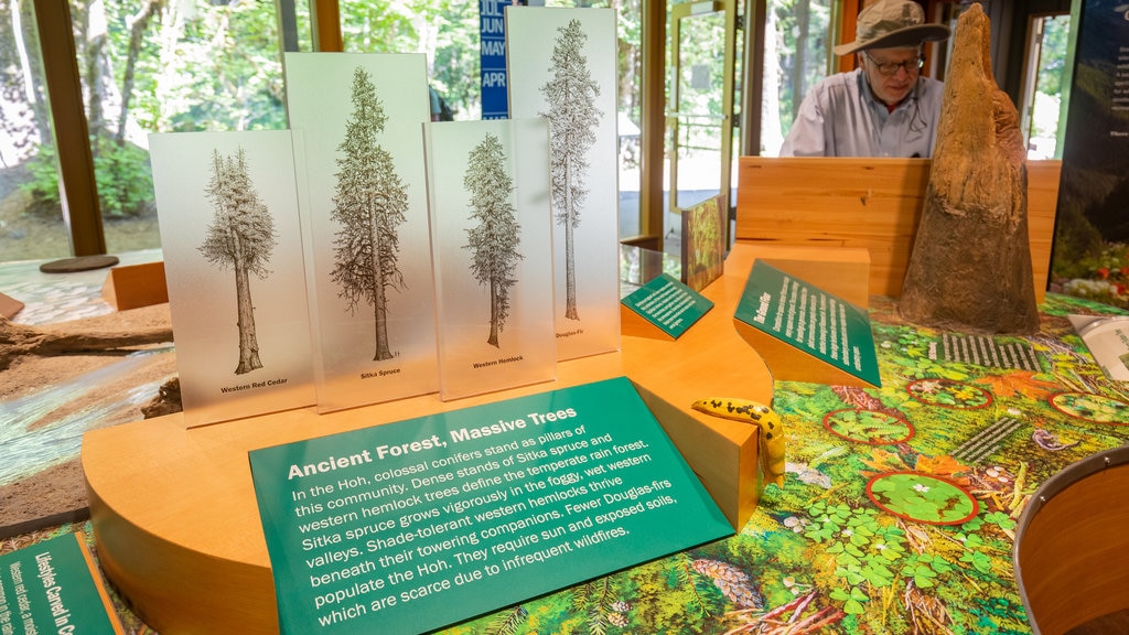 Hoh Rain Forest Visitor Center som omfatter interiør og skiltning