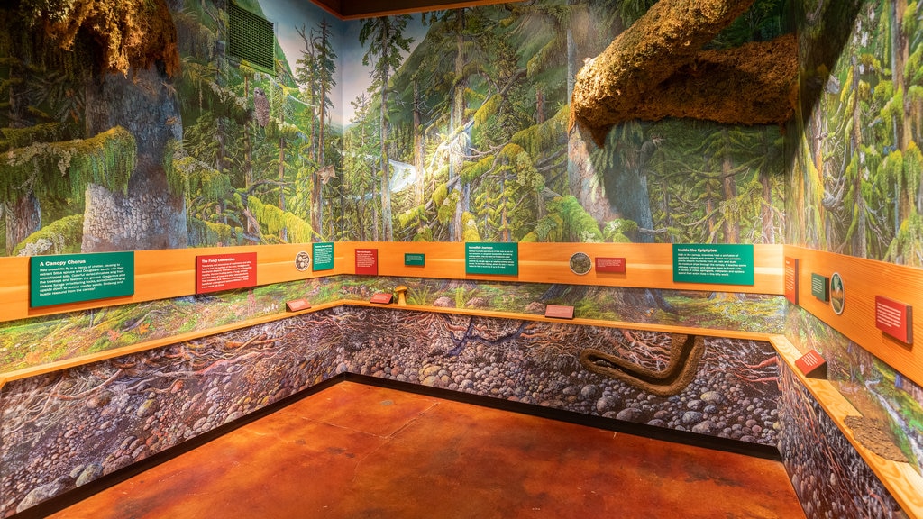 Parc national Hoh Rain Forest Visitor Center mettant en vedette signalisation et scènes intérieures