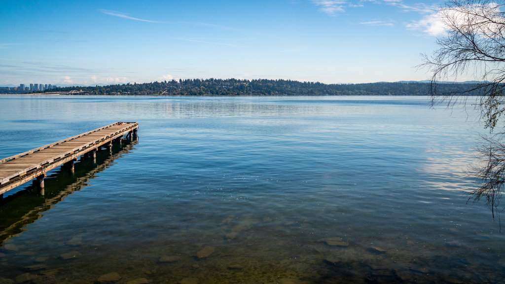 Lake Washington som inkluderar en sjö eller ett vattenhål