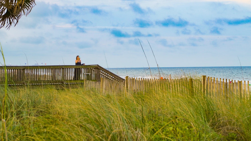 Myrtle Beach Boardwalk showing general coastal views as well as an individual female