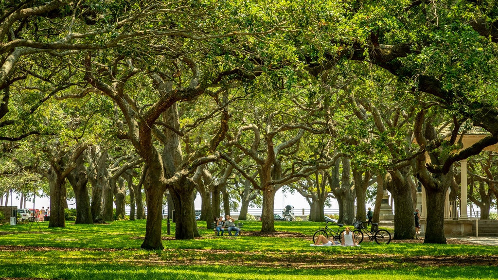 White Point Gardens showing picnicking and a garden as well as a couple