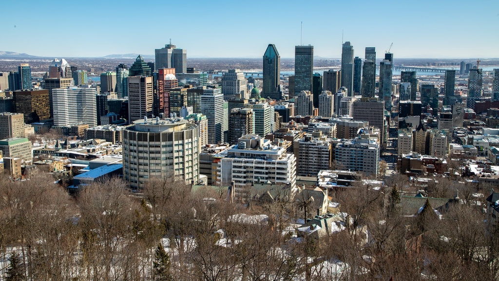 Downtown Montreal showing landscape views and a city