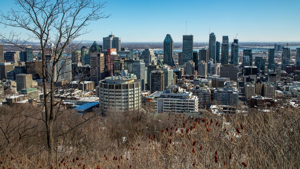 Montreal sentrum som inkluderer landskap og by