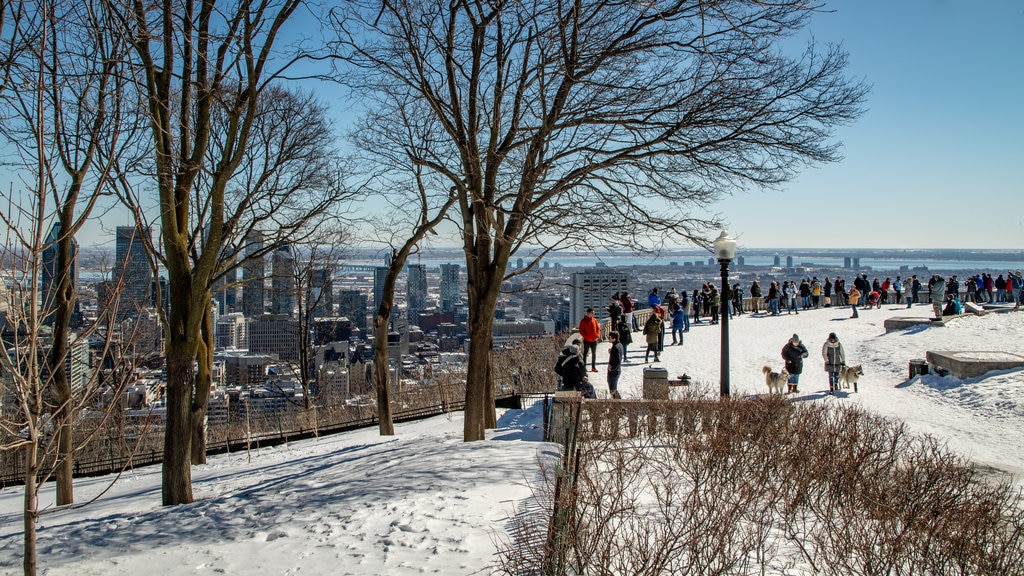 Downtown Montreal featuring a city, snow and landscape views