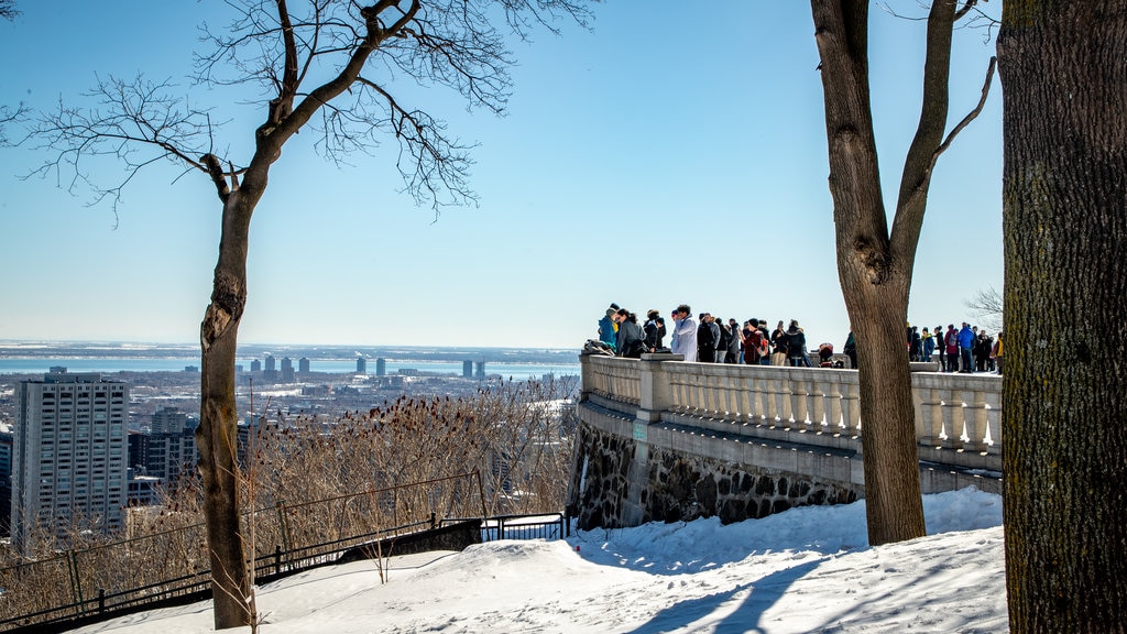 Centrum van Montréal toont sneeuw, landschappen en vergezichten