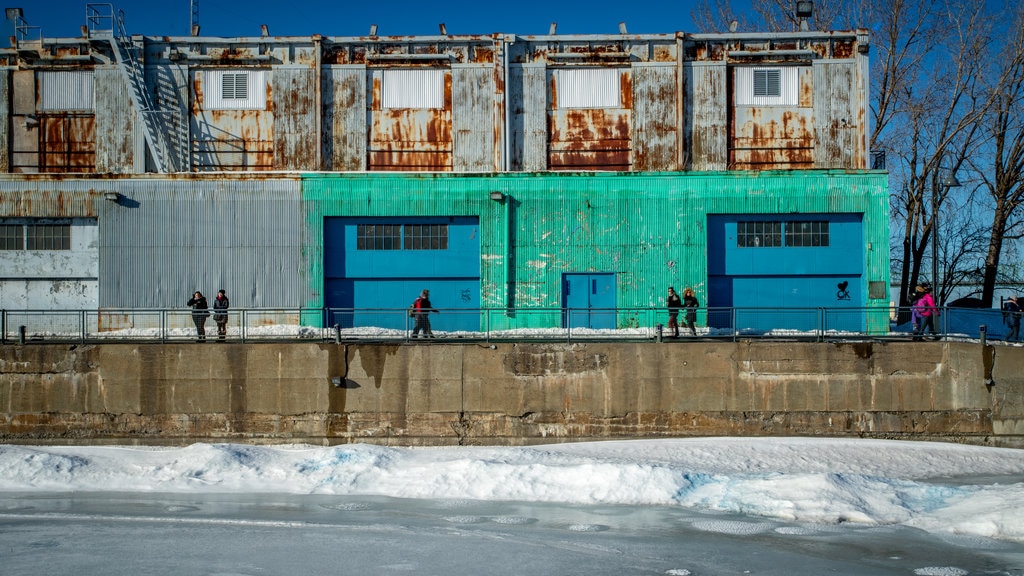 Old Port featuring snow