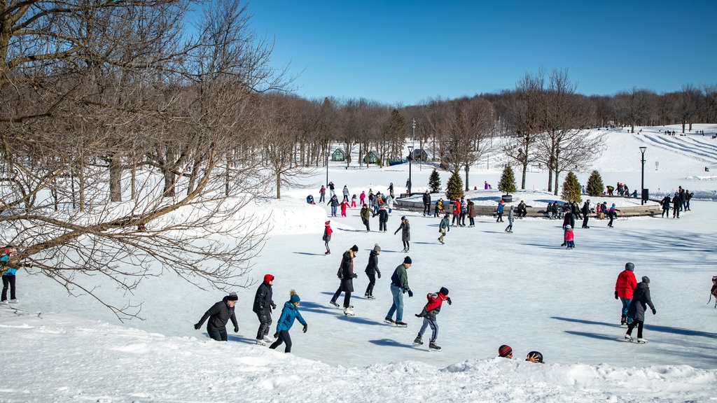 Parc du Mont-Royal montrant ski sur neige et neige aussi bien que un grand groupe de personnes