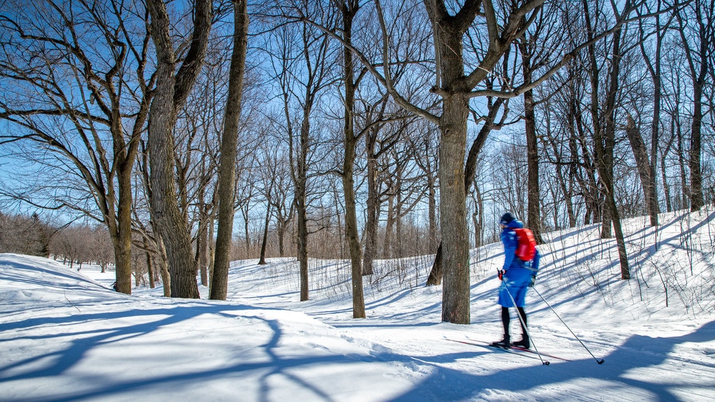 Mount Royal Park caracterizando neve e esqui na neve assim como um homem sozinho