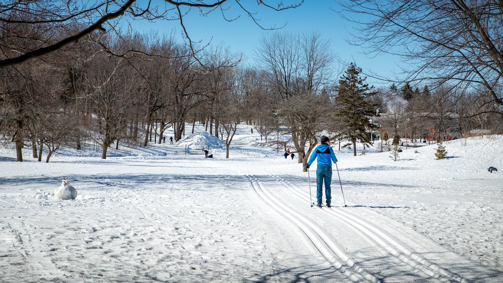 Mount Royal Park which includes snow and snow skiing as well as an individual male