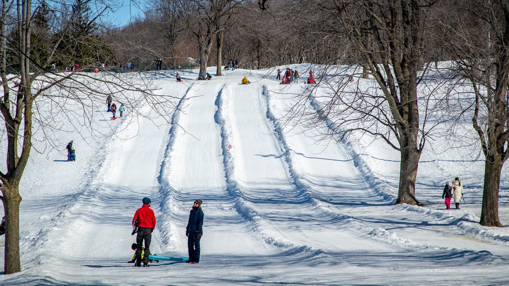 Mount Royal Park som inkluderar snö och utförsåkning såväl som ett par