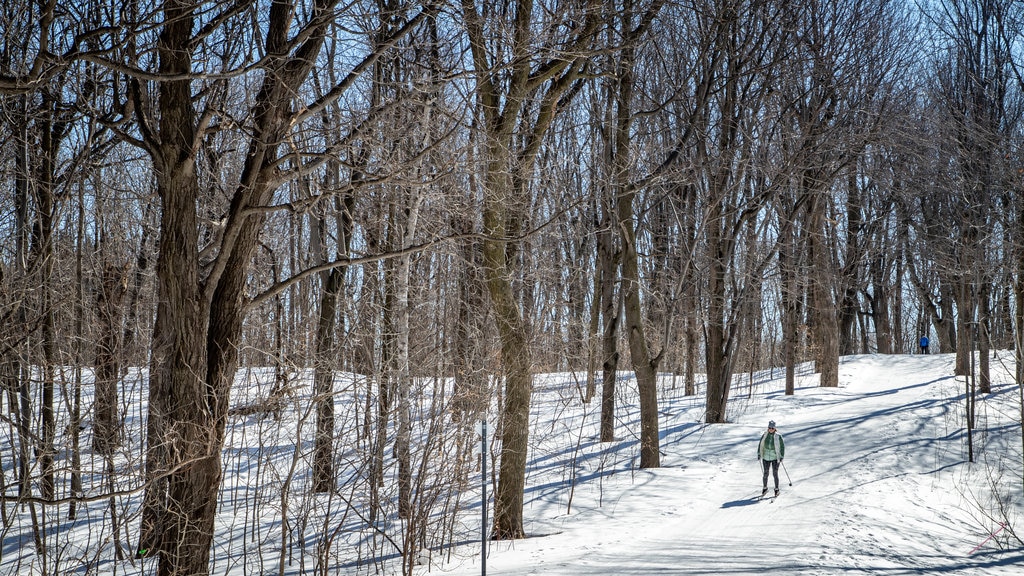 Mount Royal Park which includes snow and snow skiing as well as an individual male