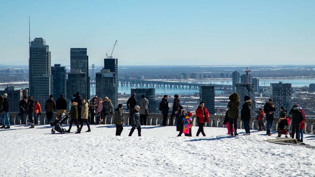 Mount Royal Park som inkluderar utsikter, en stad och snö