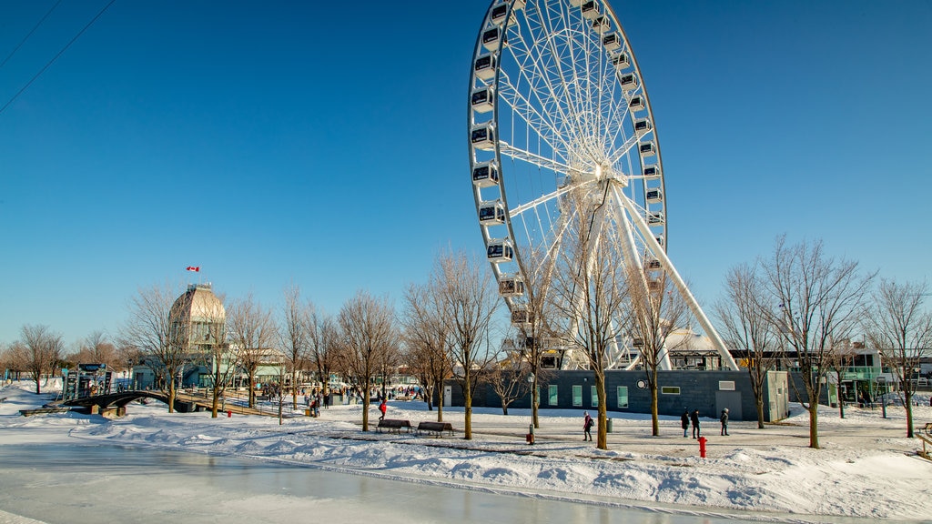 Old Port featuring views and snow