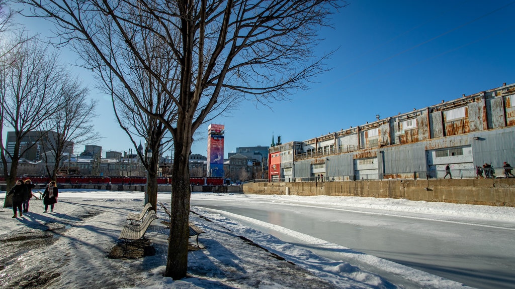 Old Port showing snow